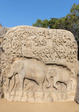 Close-up of elephants at Arjunas Penance, or Descent of the Ganges, rock relief with elephant figures and hinduism figures, Mahabalipuram, Mamallapuram, India, Asia clipart