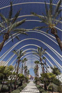 LUmbracle, Shady corridor with palm trees, CAC, Ciutat des Arts i les Cincies, Architect Santiago Calatrava, Valencia, Spain, Europe  clipart