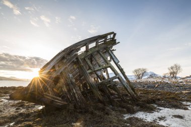 Shipwreck at low tide, sunrise, Tisnes peninsula, Troms, Norway, Europe  clipart