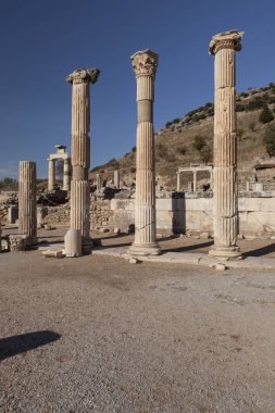 Ruins of ancient Ephesus, Selcuk, Turkey, Asia clipart