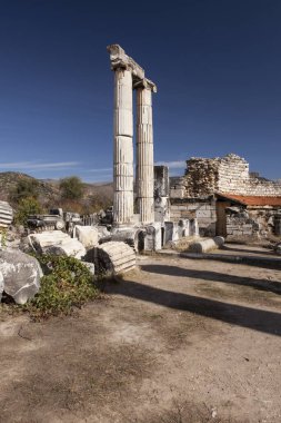 Ruins of the ancient city of Aphrodisias, current city of Geyre, Turkey, Asia clipart