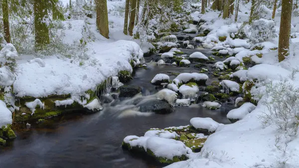 stock image Winter landscape at Hammerbach, Sumava National Park, Bohemian Forest, Czech Republic, Europe