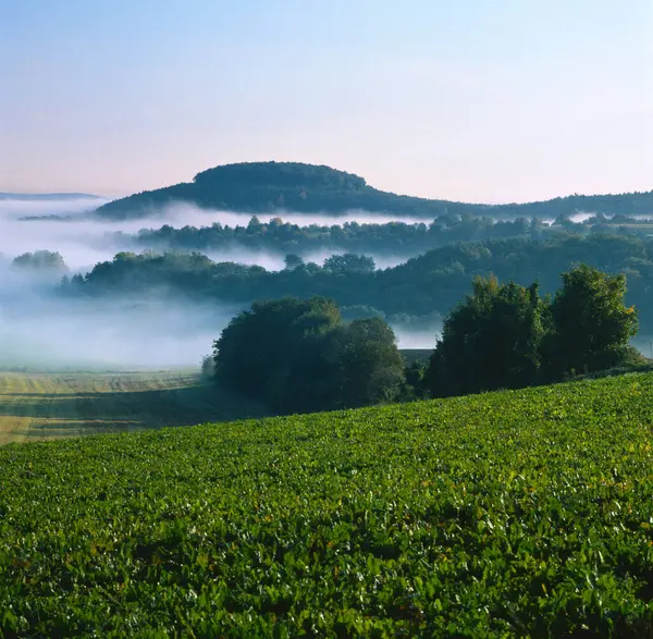 stock image Valleys in morning haze in September, Pfinztal, Baden-Wurttemberg, Germany, Europe