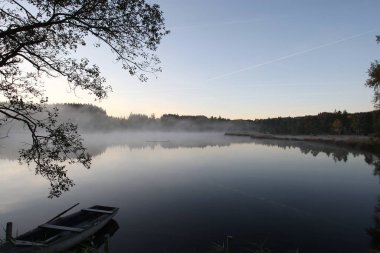 Early morning on a pond in a marshland, Oberallgaeu, Allgaeu, Bavaria, Germany, Europe clipart