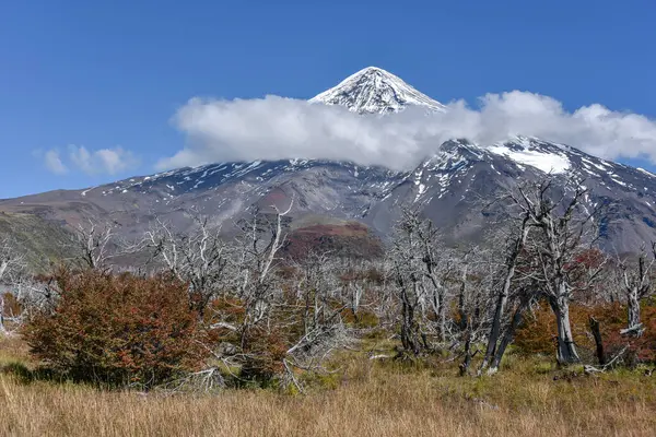 stock image Snow covered volcano Lanin, summit surrounded by clouds, between San Martin de los Andes and Pucon, National Park Lanin, Patagonia, Argentina, South America