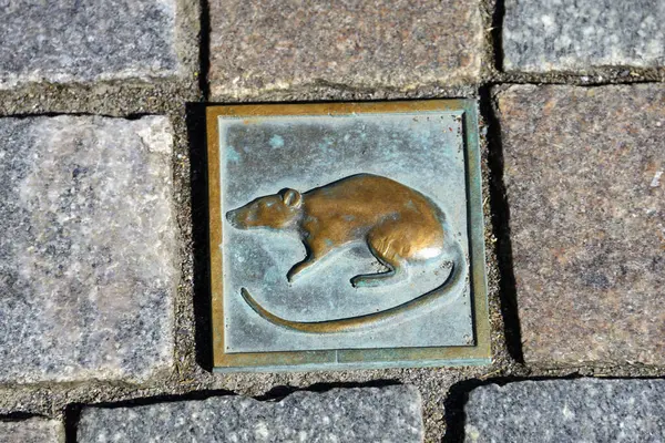 stock image Paving stone rat, pedestrian zone, Hameln, Lower Saxony, Germany, Europe