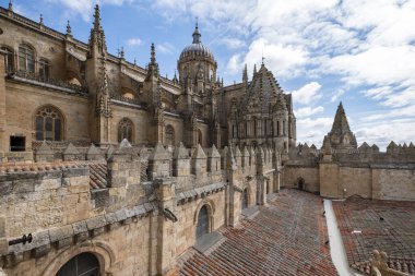 Gothic Old Cathedral, Catedral Vieja, exterior view, Salamanca, Castile-Len, Spain clipart