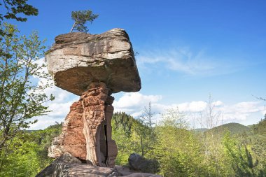 Spring at the Teufelstisch, rock formation, Palatinate Forest, Hinterweidenthal, Wasgau, Rhineland-Palatinate, Germany, Europe clipart