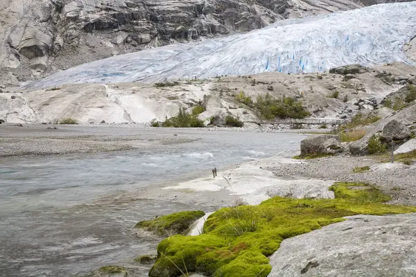 stock image Glacier tongue Nigardsbreen, Jostedalsbreen, Sogn og Fjordane, Norway, Europe