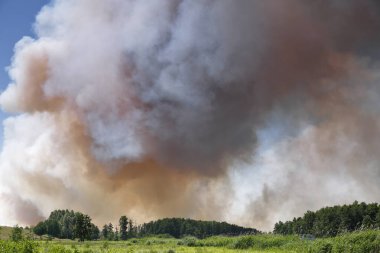 Fire on a grain field near Tutow, Nature Park Peental, Mecklenburg-Western Pomerania, Germany, Europe clipart