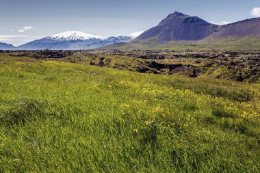 Volcanic landscape, at the back Volcanic glacier Snfellsjkull, Snaefellsjkull, near Arnarstapi, peninsula Snfellsnes, Snaefellsnes, West Iceland, Iceland, Europe  clipart