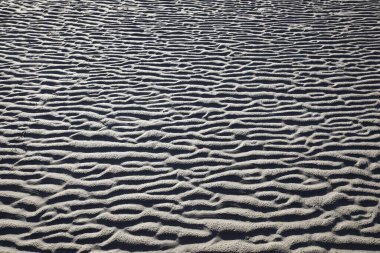 Ripples in the sand in the mudflats at low tide, North Sea coast, Schleswig-Holstein, Germany, Europe clipart