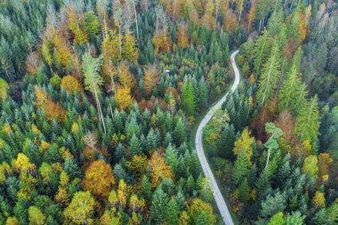 Drone shot, autumn in the Swabian Forest, Herrenbachtal, district Gppingen, Baden-Wrttemberg, Germany, Europe  clipart