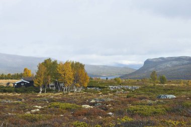 tundral landscape in autumn, Province Oppland, Norway, Europe clipart