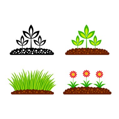 Vektör simgesi beyaz arka plan üzerinde bitki