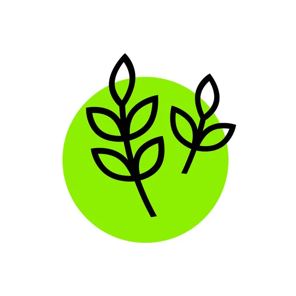 Rostlina Vektorové Ikony Bílém Pozadí — Stockový vektor