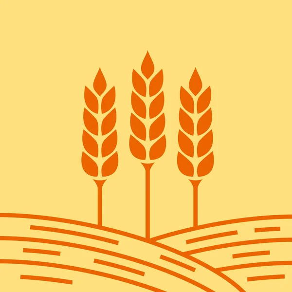 Landwirtschaftliche Vektorsymbole Weizenähren — Stockvektor