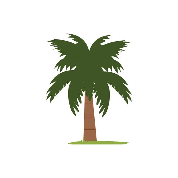 Düz Tasarım Tarzında Tek Palmiye Ağacı Illüstrasyonu — Stok Vektör