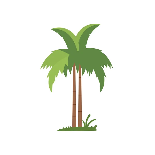 Coconut Träd Vektor Konst Palm Träd Isolerad Vit Bakgrund — Stock vektor