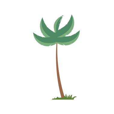 Düz dizayn edilmiş palmiye ağacı çizimi, beyaz arkaplanda izole edilmiş hindistan cevizi ağacı - Vektör