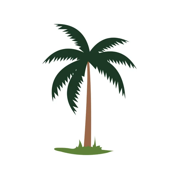 Basit Hindistan Cevizi Ağacı Çizimi Tek Palmiye Ağacı Simgesi Düz — Stok Vektör