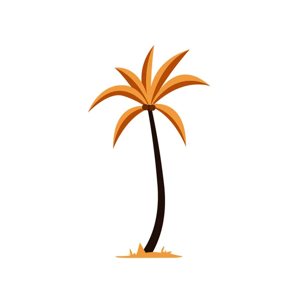 Palmiye Ağacı Veya Sarı Yapraklı Hindistan Cevizi Ağacı Düz Tasarım — Stok Vektör