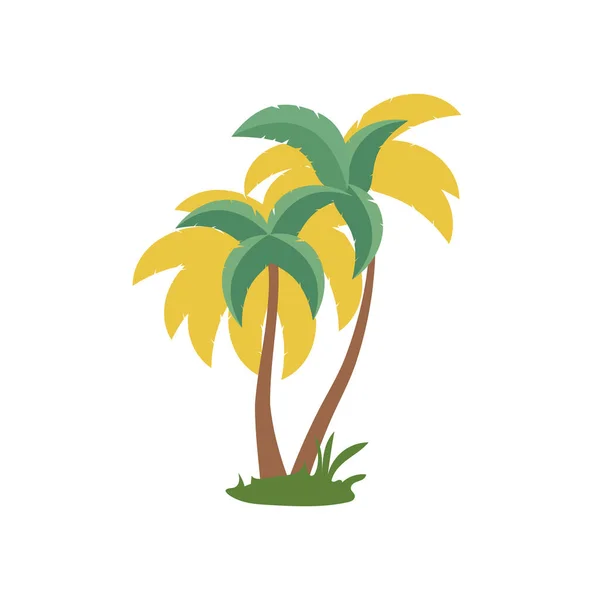 Palmboom Afbeelding Vector Kokosnoot Boom Icoon Platte Ontwerp Vector Illustratie — Stockvector
