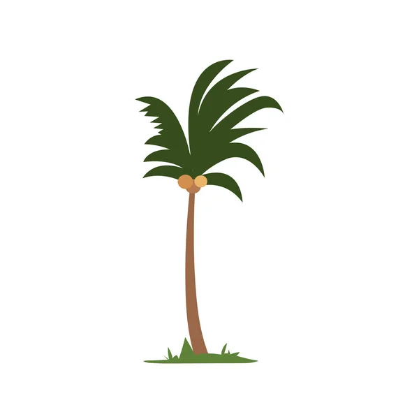 Palm Träd Design Element Vektor Kokos Träd Ikon Illustration — Stock vektor