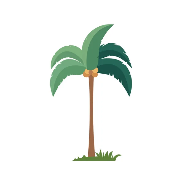 Kokosnoot Boom Platte Design Stijl Cartoon Palm Boom Vector Illustratie — Stockvector
