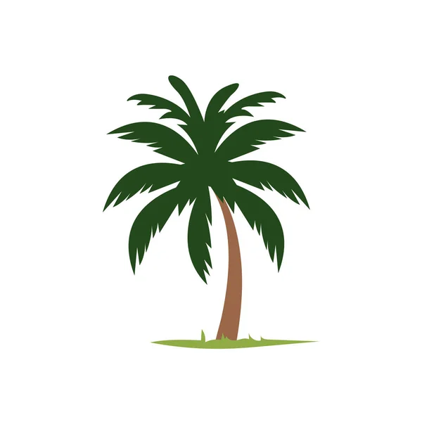 Beyaz Arkaplanda Izole Edilmiş Şirin Palmiye Ağacı Vektör Çizimi Ögesi — Stok Vektör