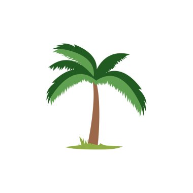 Çizgi film Hindistan cevizi palmiye ağacı vektör çizimi şablon elementleri