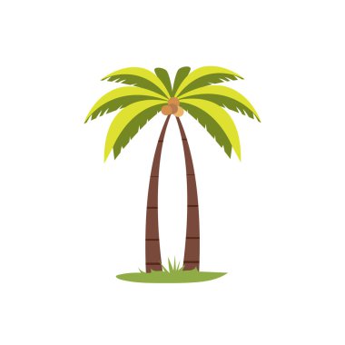 Hindistan cevizi palmiyesi vektör çizimi, düz simge tasarım şablonu elementleri