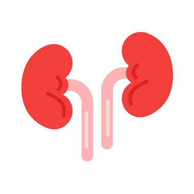 Böbrek ikonu vektör çizimi, şirin düz simge tasarımı, insan organı.