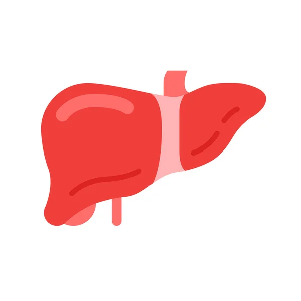 Karaciğer Ikonu Vektör Çizimi Şirin Düz Simge Tasarımı Insan Organı — Stok Vektör