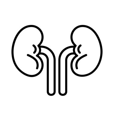 Böbrek ikonu vektör çizimi, çizgi sanat tarzı ikonu, insan iç organları