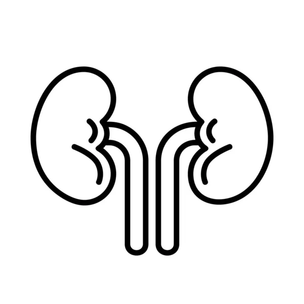 腎臓アイコンベクターイラストデザイン ラインアートスタイルアイコン 人間の内臓 — ストックベクタ