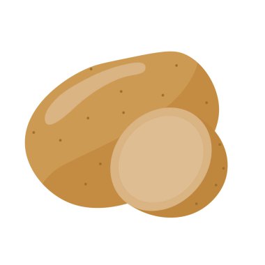 Beyaz arka planda izole edilmiş patates vektör illüstrasyonu, solanum tüberozum veya patates sebzesi