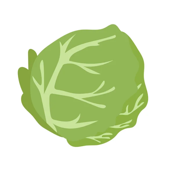 Λάχανο Επίπεδη Εικονίδιο Διανυσματική Απεικόνιση Sayur Kol Λαχανικών Στυλ Κινουμένων — Διανυσματικό Αρχείο