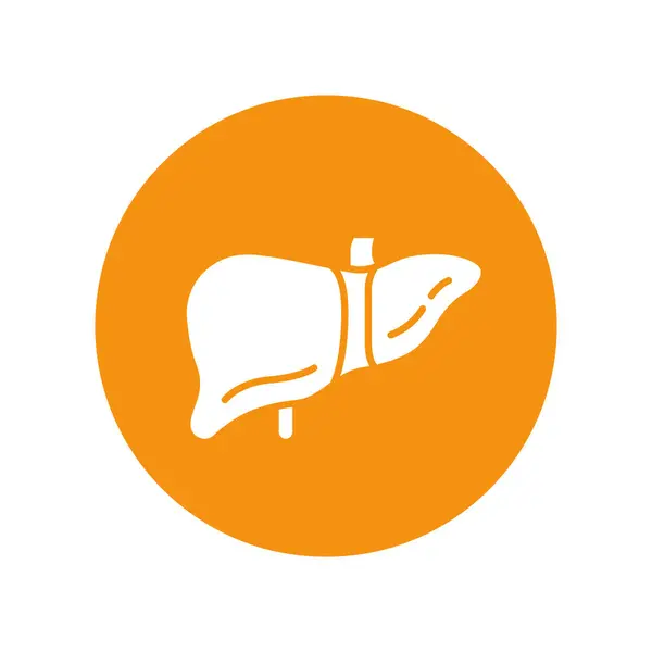 肝臓アイコンベクターイラストデザイン 円形形フラットアイコンデザイン 人間の臓器イメージ — ストックベクタ
