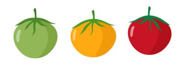 Yeşil sarı kırmızı domates vektör çizimi, çizgi film domatesleri sebze seti