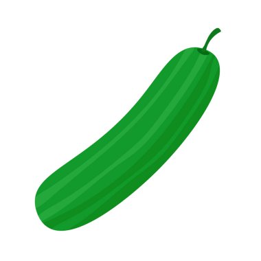 Tam salatalık sebzesi, el çizimi salatalık sativus veya mentimun, ketimun düz çizim.