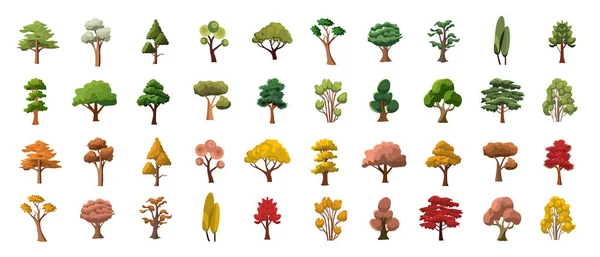 Sada Vektorových Obrázků Stromů Sbírka Kreslených Stromů — Stockový vektor