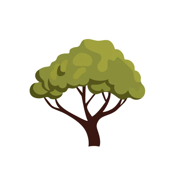Basit Karikatür Ağacı Yeşil Ağaç Düz Çizimi Beyaz Arkaplanda Izole — Stok Vektör