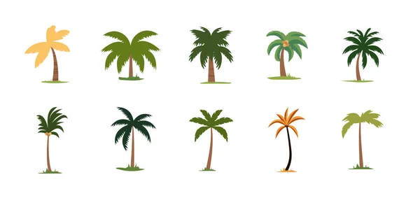 Barevné Palmy Set Kreslený Plochý Ilustrační Vektor — Stockový vektor