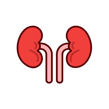 İnsan böbrek ikonu tasarım şablonu elementleri, böbrek organı görüntüsü
