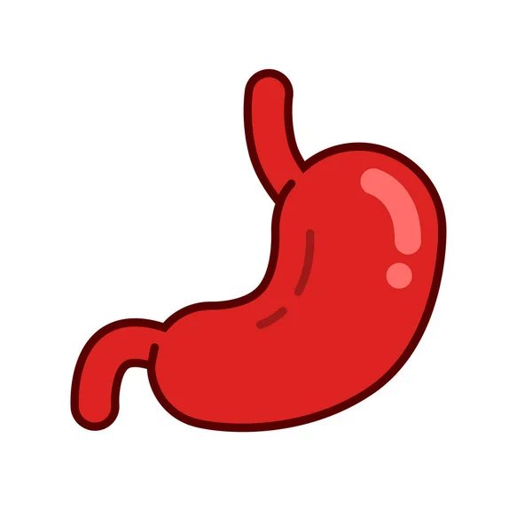 Human Stomach Organ Vector Icon Design Template Elements Stomach Gastric — Stock Vector
