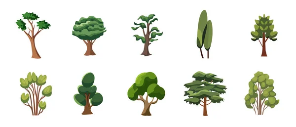 Soubor Ilustrací Přírodních Stromů Sbírka Obrazů Zelených Stromů Vektor — Stockový vektor