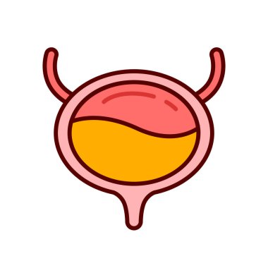 İnsan mesanesi organ ikonu tasarımı elementler, iç organlar görüntüsü