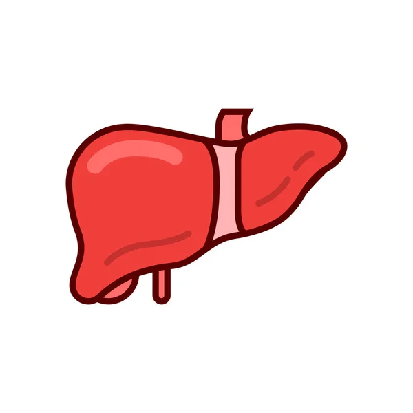 Nsan Karaciğer Organ Ikonu Tasarımı Şablon Elementler Organ Resmi — Stok Vektör