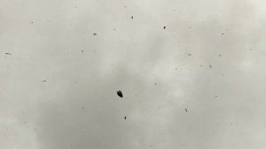 Gökyüzünde duman bulutları, kurbağa gözleri